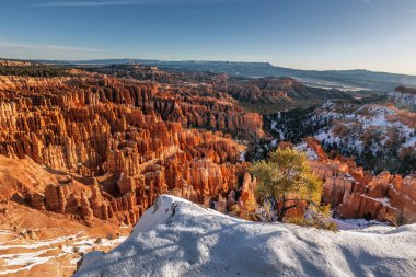 ABD ulusal parkları