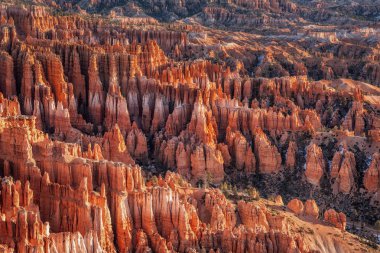 ABD ulusal parkları