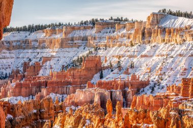 ABD ulusal parkları