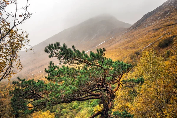 Schotland-herfst — Stockfoto