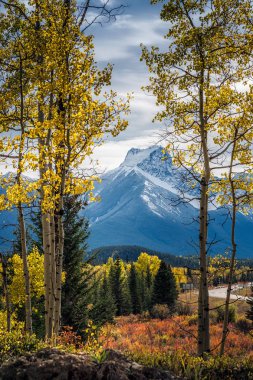 Banff Ulusal Parkı