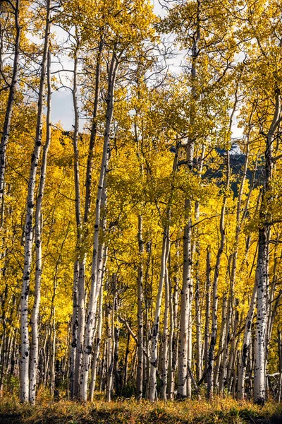 Banff-Nationalpark — Stockfoto