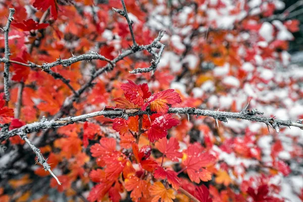 Parco nazionale di Banff — Foto Stock