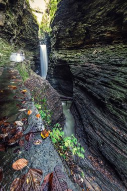 Watkins Glen Gorge iz
