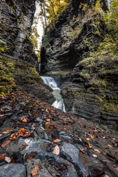 Watkins Glen Gorge trilha — Fotografia de Stock