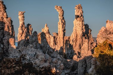 Yosemite Ulusal Parkı