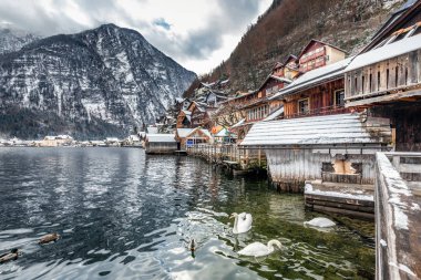 Hallstatt dağ köyü