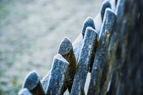 Bavyera kış günü — Stok fotoğraf
