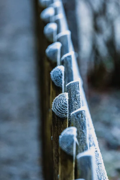 Baviera giorno d'inverno — Foto Stock