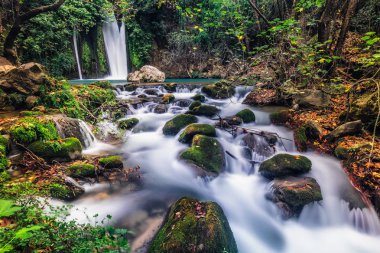 Waterfall Banias landscape clipart