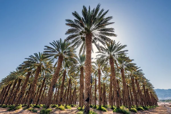 Dode Zee Israël — Stockfoto