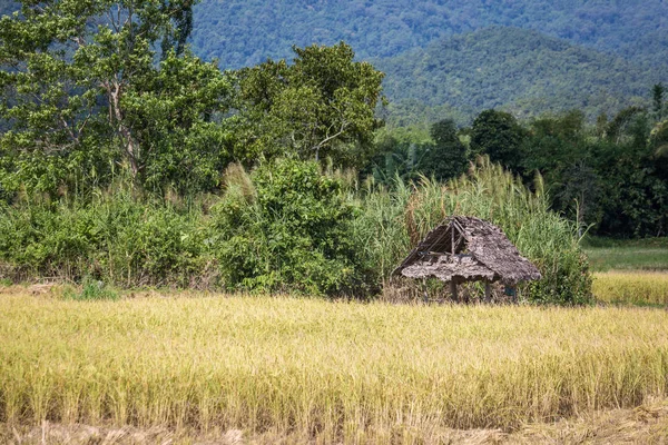 Thailand resa oktober — Stockfoto