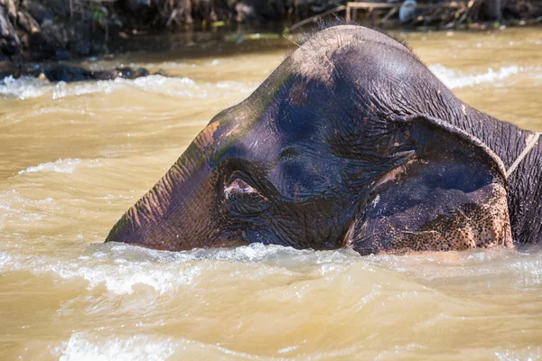 Thailand trip October — Stock Photo, Image