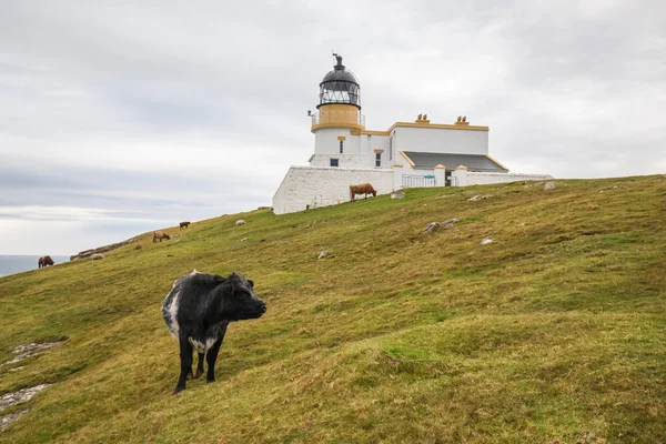 Escocia día lluvioso — Foto de Stock