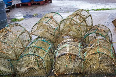 İskoçya yağmurlu gün