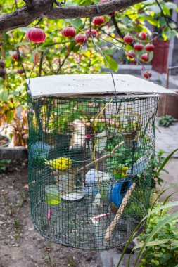 Çin'in büyük ülkesi