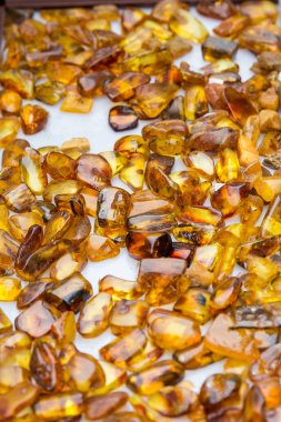 Günlük gezi Polonya