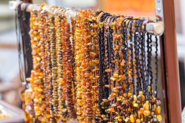 Günlük gezi Polonya