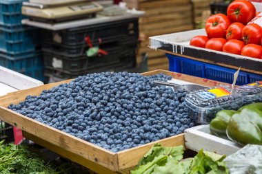 Günlük gezi Polonya