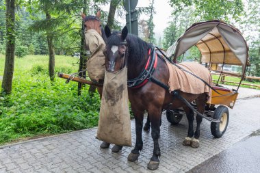 Günlük gezi Polonya