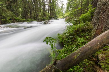 Günlük gezi Polonya