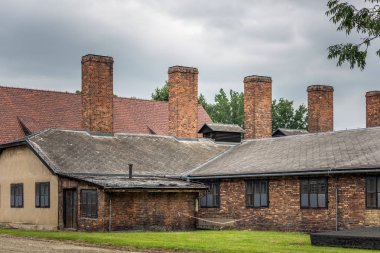 Auschwitz toplama kampı