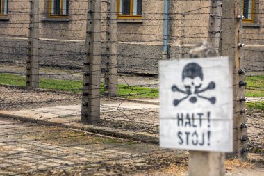 Auschwitz toplama kampı