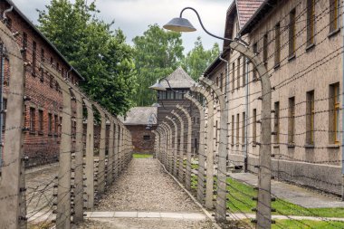 Auschwitz toplama kampı
