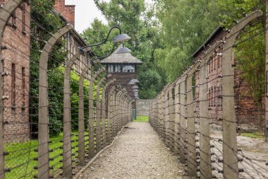 Auschwitz toplama kampı