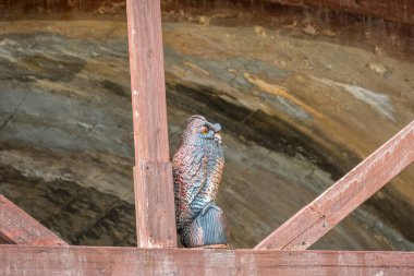 İsrail günlük gezi