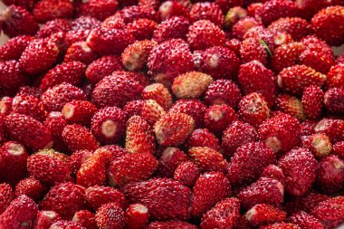 Doğal yabani meyveler