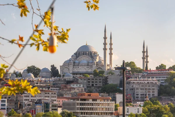 Voyage en Europe Istanbul — Photo