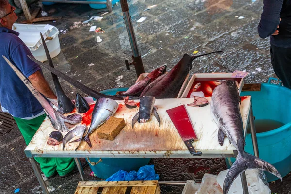 Catania Sicilya İtalya