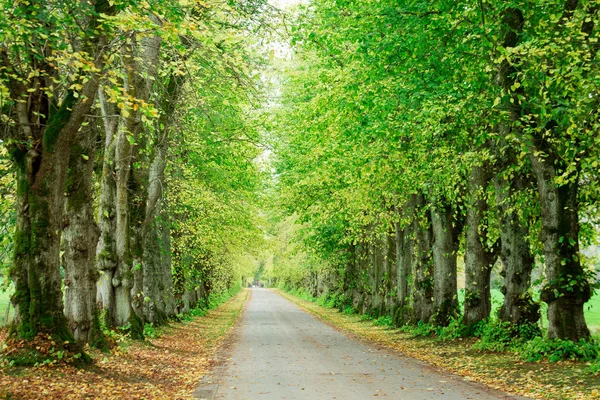 Día de otoño en Escocia-119.dng — Foto de Stock