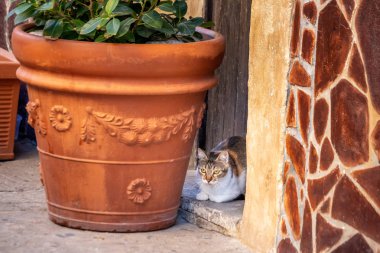 Catania Sicilya İtalya