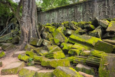 Angkor Wat 'taki eski yosun taşları, Siem Reap, Kamboçya.