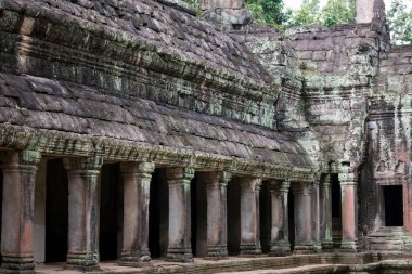 Angkor Wat 'taki tapınak kalıntıları, Siem Reap, Kamboçya.