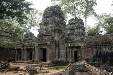 Angkor Wat 'taki tapınak kalıntıları, Siem Reap, Kamboçya.