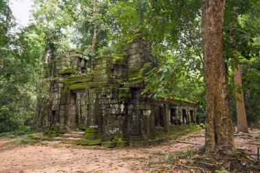 Angkor Wat 'taki tapınak kalıntıları, Siem Reap, Kamboçya.