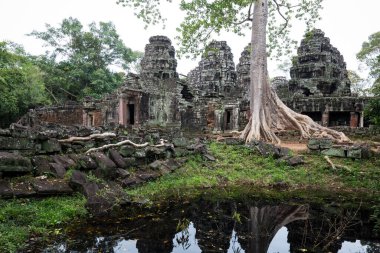 Angkor Wat 'taki tapınak kalıntıları, Siem Reap, Kamboçya.