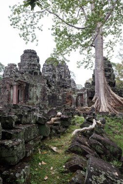 Angkor Wat 'taki tapınak kalıntıları, Siem Reap, Kamboçya.