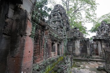 Angkor Wat 'taki tapınak kalıntıları, Siem Reap, Kamboçya.