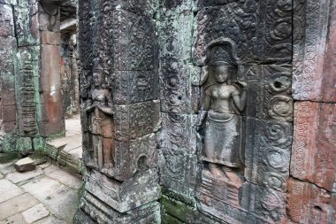 Angkor Wat 'taki tapınak kalıntıları, Siem Reap, Kamboçya.