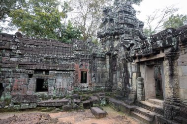 Angkor Wat 'taki tapınak kalıntıları, Siem Reap, Kamboçya.