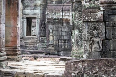 Angkor Wat 'taki tapınak kalıntıları, Siem Reap, Kamboçya.