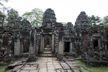 Angkor Wat 'taki tapınak kalıntıları, Siem Reap, Kamboçya.