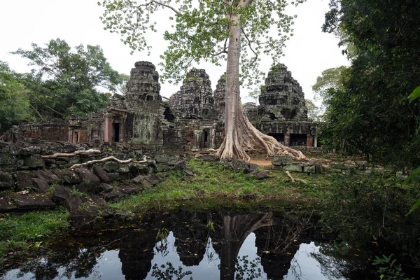 Ruinas Del Templo Angkor Wat Siem Reap Camboya — Foto de Stock