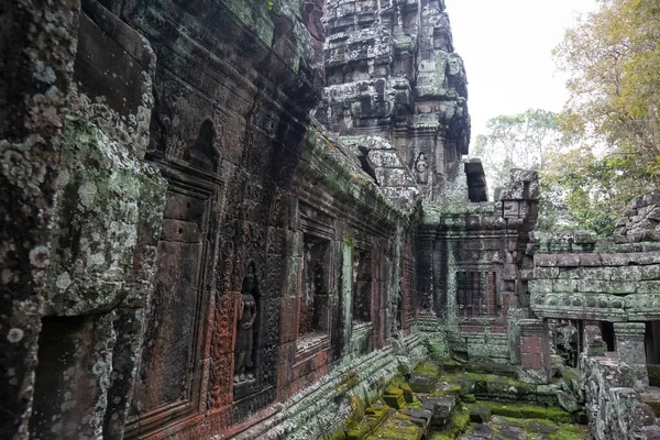 Ruinas Del Templo Angkor Wat Siem Reap Camboya —  Fotos de Stock