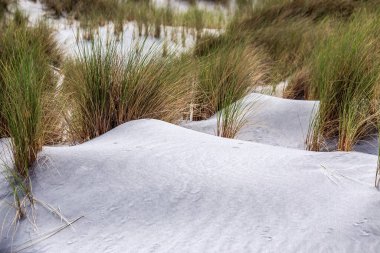Yeni Zelanda 'nın Güney Adası, Puponga' daki Wharariki plajında kum tepeleri olan kemer yolu adalarının sahil manzarası..