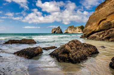 Ulusal Park 'taki Whariki plajında ünlü kaya oluşumları. Nelson, Güney Adası, Yeni Zelanda.